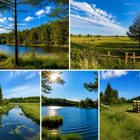 Vakantiehuis I Morze Czarny Mlyn